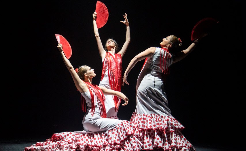 Experience Flamenco Dancing